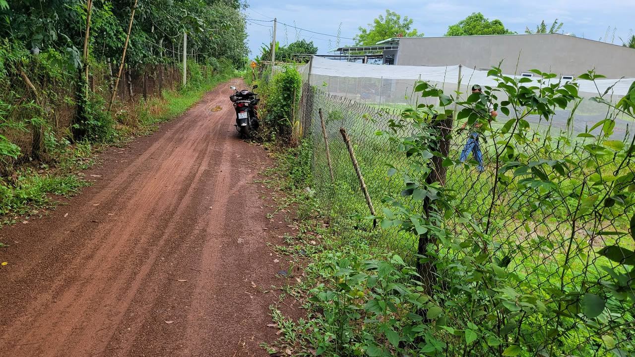 Đất nền 1000m² xã Lộc Ninh Tây Ninh - Giá chỉ 570 triệu, nhanh tay sở hữu!