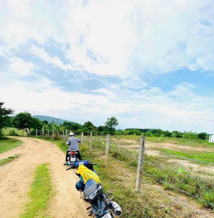 Đất Ninh Hưng Ninh Hòa 1234m² giá 630 triệu - Bán gấp, cơ hội đầu tư hấp dẫn!