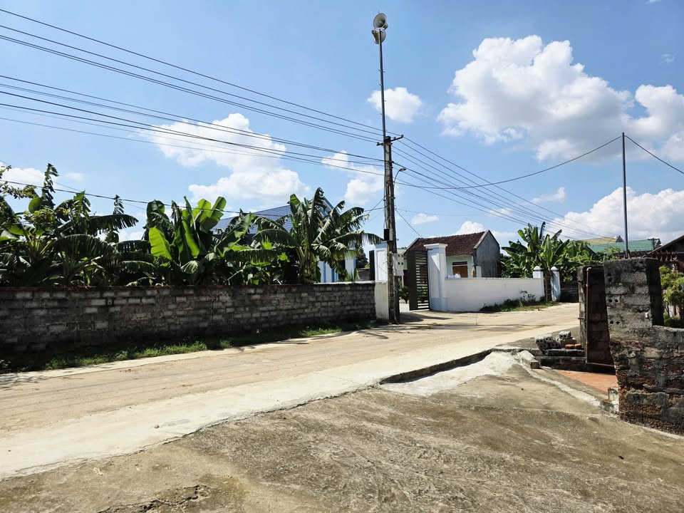 Đất thổ cư Thọ Ngọc - Triệu Sơn 125m² giá 200 triệu - Sổ hồng chính chủ, đầu tư sinh lời!