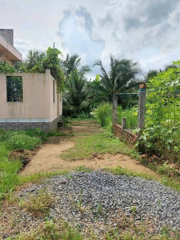 Đất Phú Khương Bến Tre 187m² giá 470 triệu - Cơ hội đầu tư hấp dẫn!