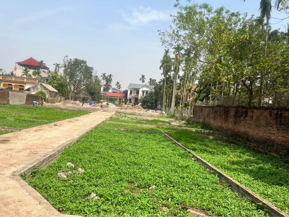 Đất thổ cư Thọ Lộc - Phúc Thọ 48m² giá chỉ 3x triệu/m² - Sổ đỏ chính chủ!