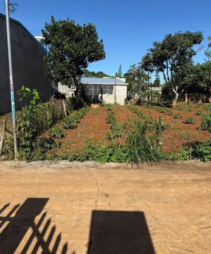 Lô đất Hiệp Thạnh, Đức Trọng 147m² giá 1.1 tỷ - Cần bán gấp!