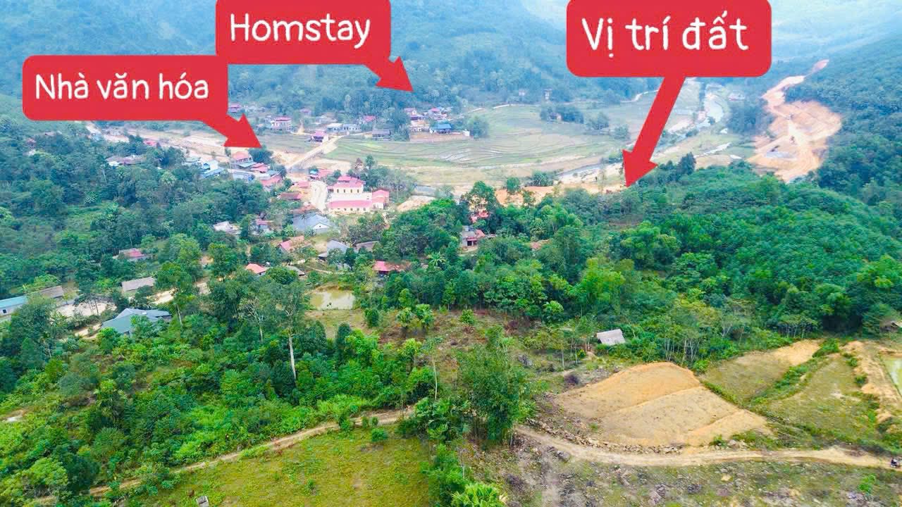 Lô đất 1000m² tại xóm Thang, xã Xuân Đài, Tân Sơn - Giá chỉ 300 triệu VND