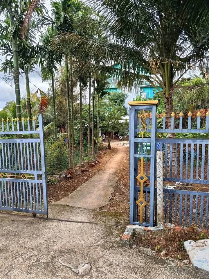 Đất mặt tiền Nơ Trang Long, Đắk Mil 1130m² giá 3.1 tỷ - Cơ hội đầu tư sinh lời!