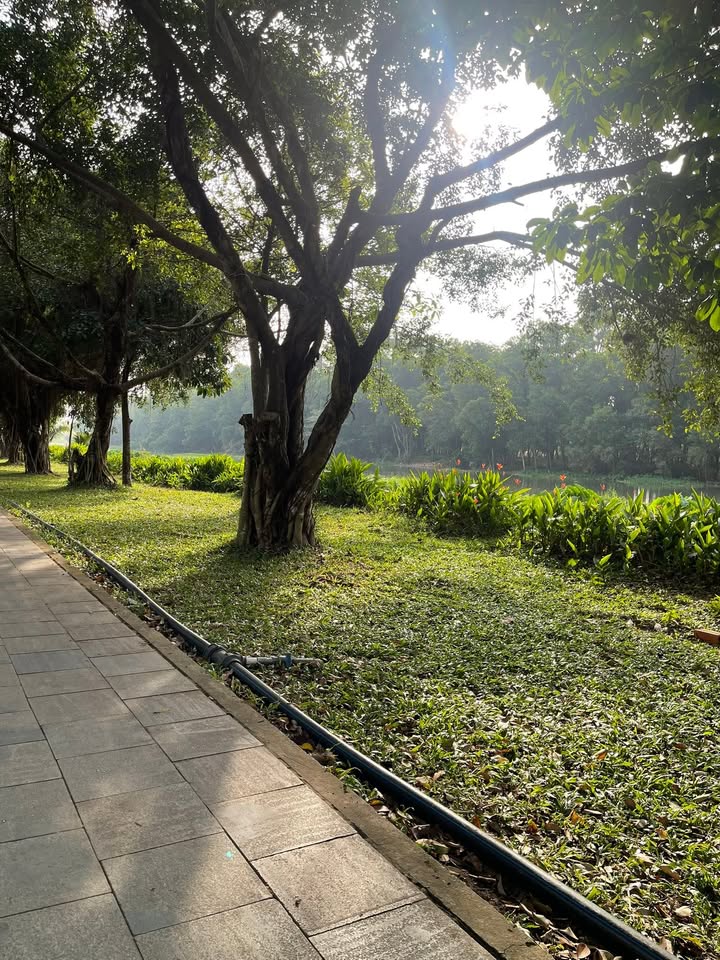 Đất nền trung tâm Mỹ Phước, Bến Cát, Bình Dương - Đầu tư sinh lời, vị trí đắc địa!