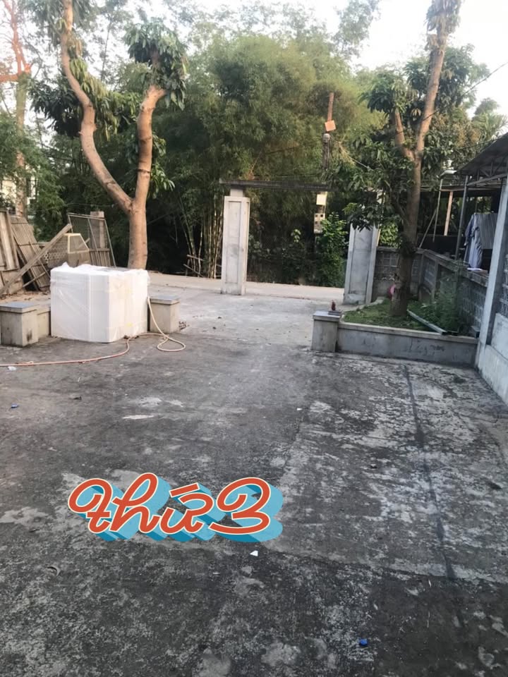 Đất thổ cư Tứ Hạ 260m² giá 1.6 tỷ - Sổ hồng chính chủ, cơ hội đầu tư hiếm có!