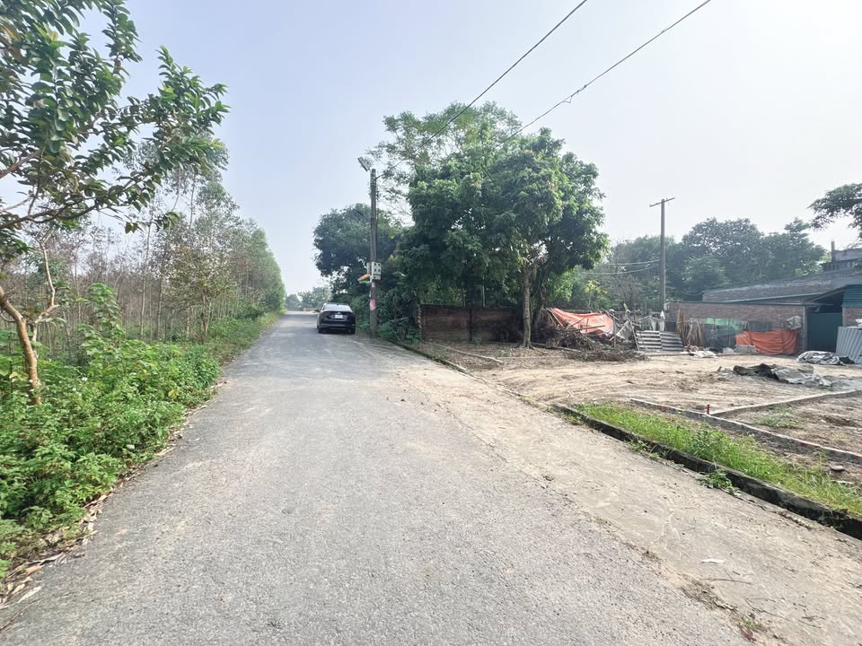 Đất ở Thị Trấn Hùng Sơn, Lâm Thao 93m² giá 800 triệu - Vị trí đắc địa gần Đền Hùng!