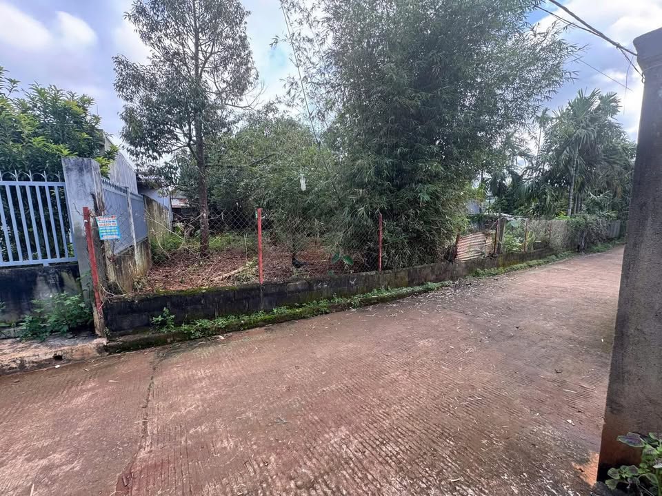 Đất hẻm Đại lộ Đông Tây, xã Hòa Thắng, 124m² - Lô góc hiếm có!