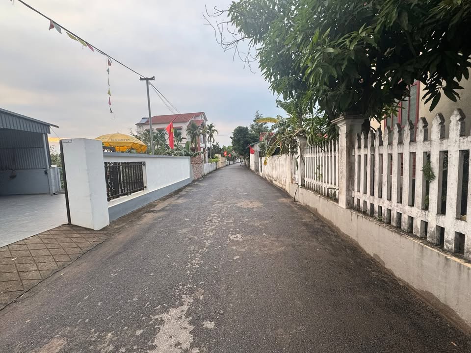 Đất nền 135m² tại Xã Phùng Nguyên, Lâm Thao - Giá chỉ 1 tỷ, cơ hội đầu tư hấp dẫn!