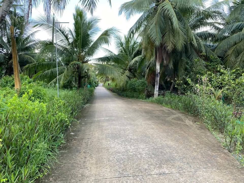 Đất nền Thới Lai, Bình Đại 250m² giá 340 triệu - Mặt tiền đường thông thoáng!