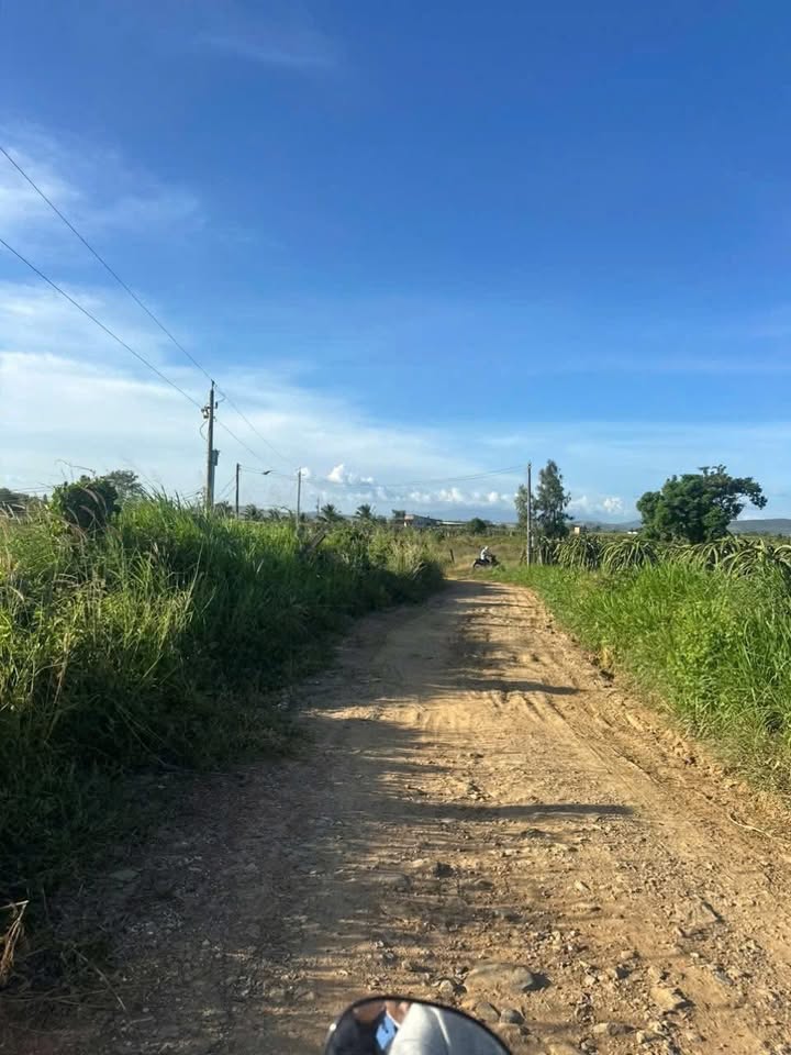 Đất nền Hàm Cường, Hàm Thuận Nam 2087m² - Giá cực tốt chỉ 601 triệu