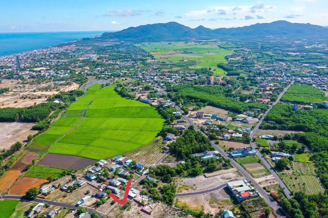 Đất nền Phước Hội Bà Rịa - Vũng Tàu 768m² giá 5.35 tỷ - Lô góc 2 mặt tiền đẹp!