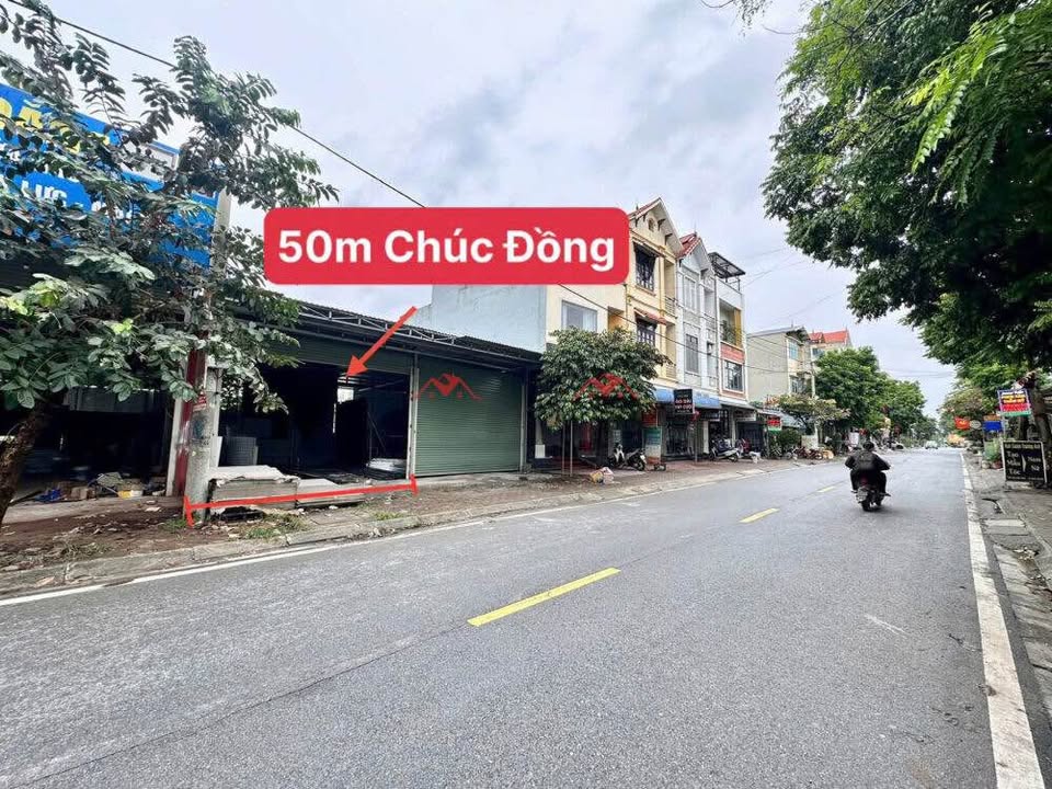 Lô đất kinh doanh Chúc Đồng, Thụy Hương 50m² - Đầu tư sinh lời ngay!