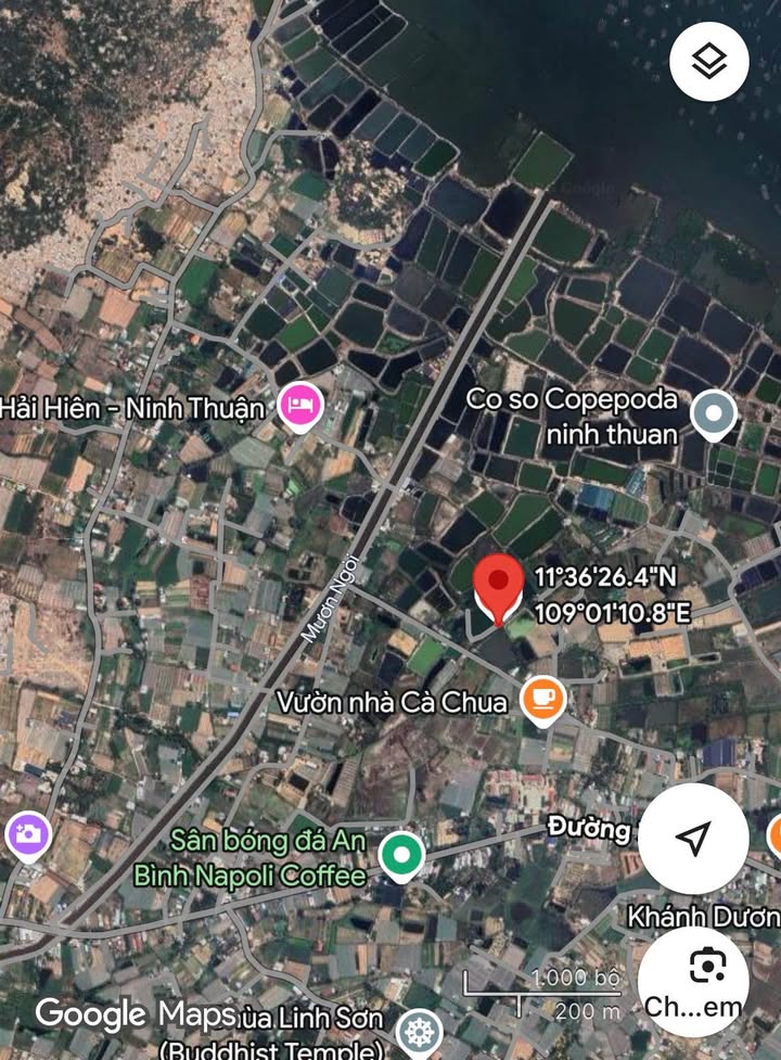 Đất đìa tôm 6000m² tại Khánh Hải, Ninh Thuận - Đầu tư sinh lời ngay!