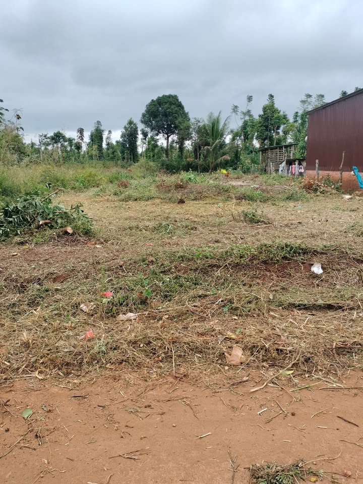 Đất nền khu dân cư Quảng Phú, Cư M'gar 384m² giá chỉ 579 triệu - Cơ hội đầu tư hấp dẫn!