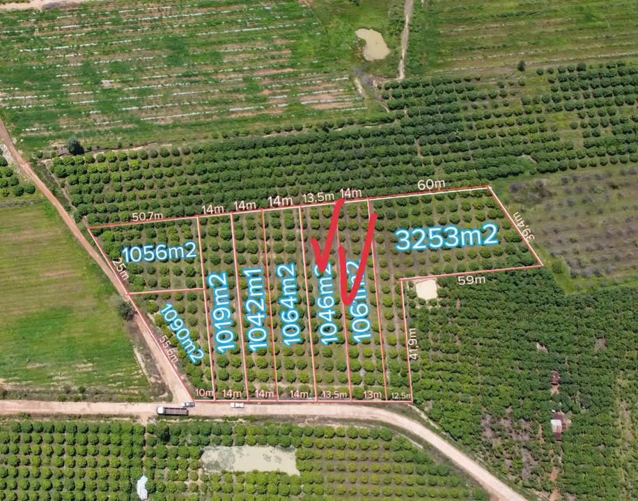 Đất nền Ea Súp Đắk Lắk 1000m² giá 125 triệu - Vị trí đẹp, sẵn vườn xoài cát!