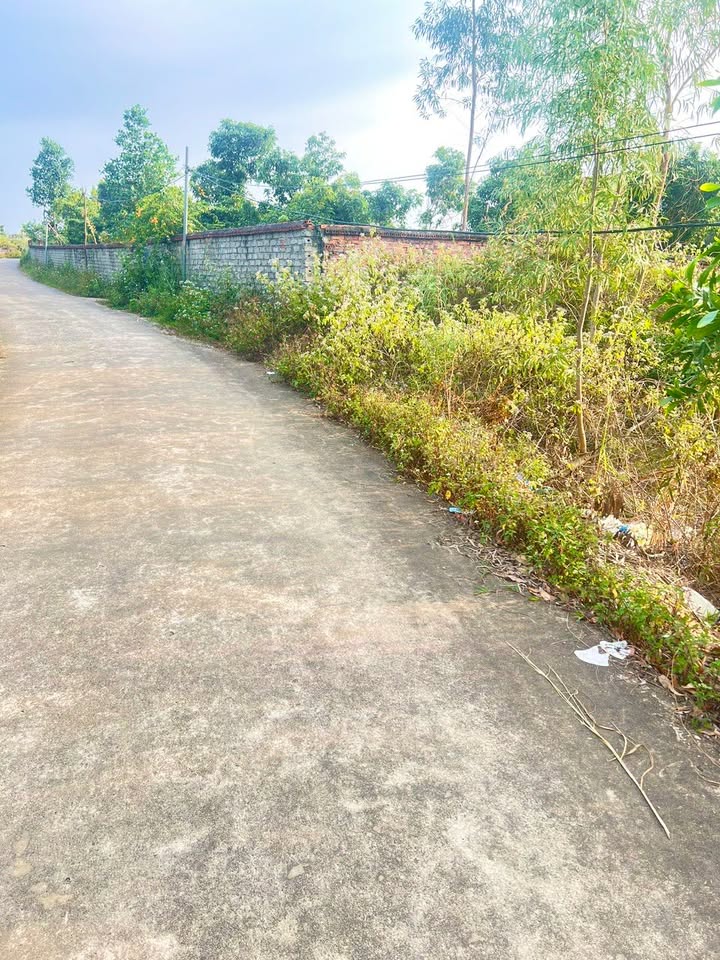 Đất ở Đại Lâm 180m² giá thỏa thuận - Mặt tiền 7m, gần KCN