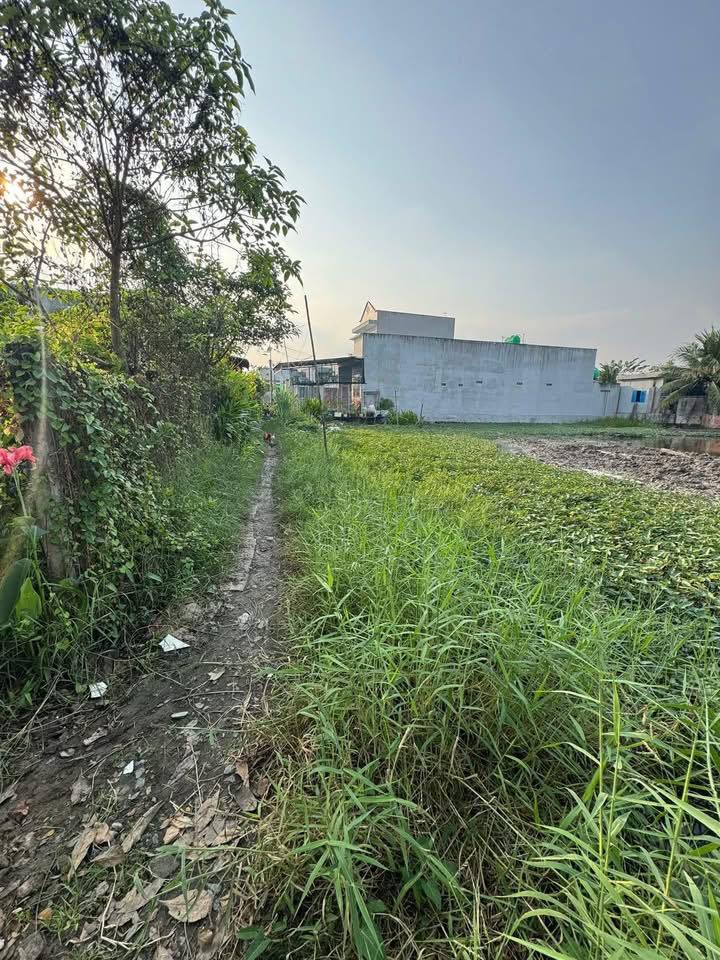Đất thổ cư Cần Đước 1000m² giá 820 triệu - Đất sạch đẹp, không quy hoạch!