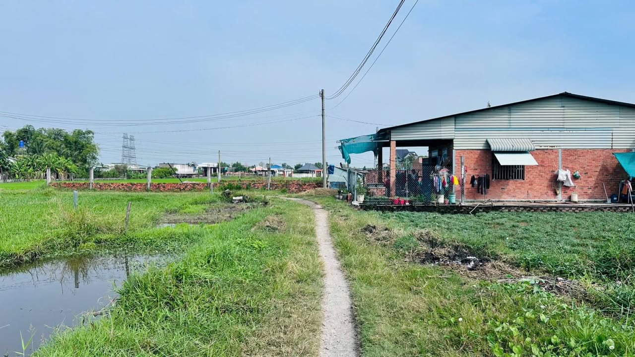 Đất lúa ấp 1 Đức Hoà Đông 512m² giá 1.6 tỷ - Đầu tư sinh lời ngay!