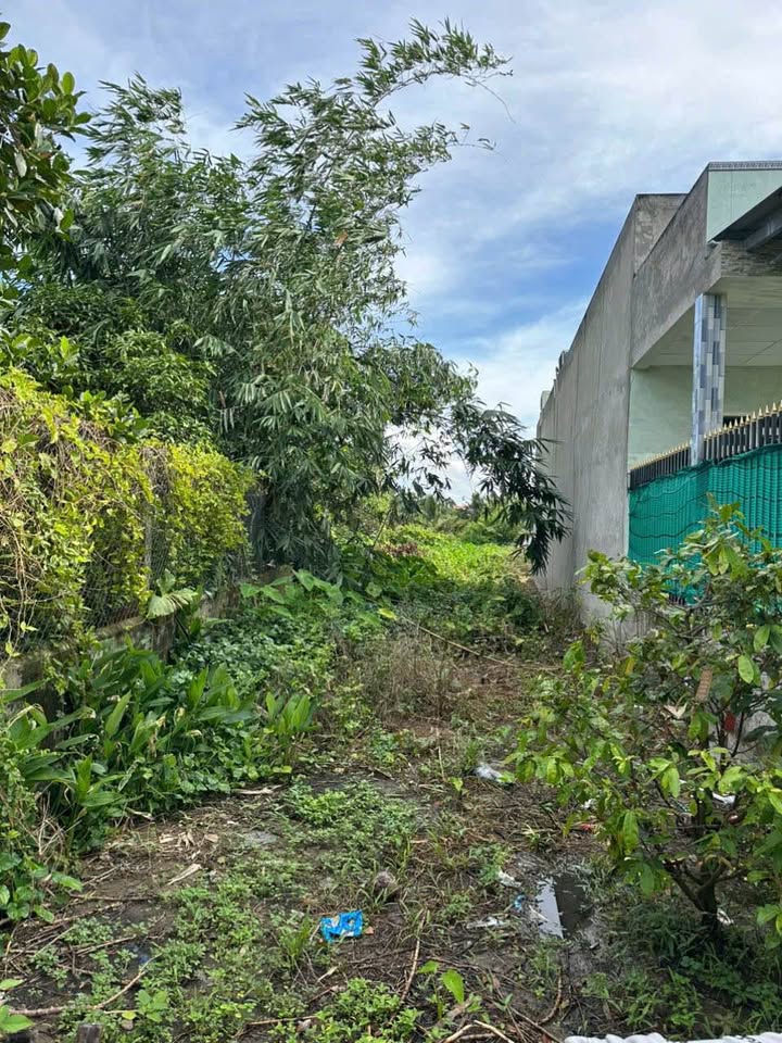 Đất thổ cư hẻm 79 An Vĩnh Ngãi, Tân An 92m² giá 900 triệu - Cơ hội đầu tư hấp dẫn!