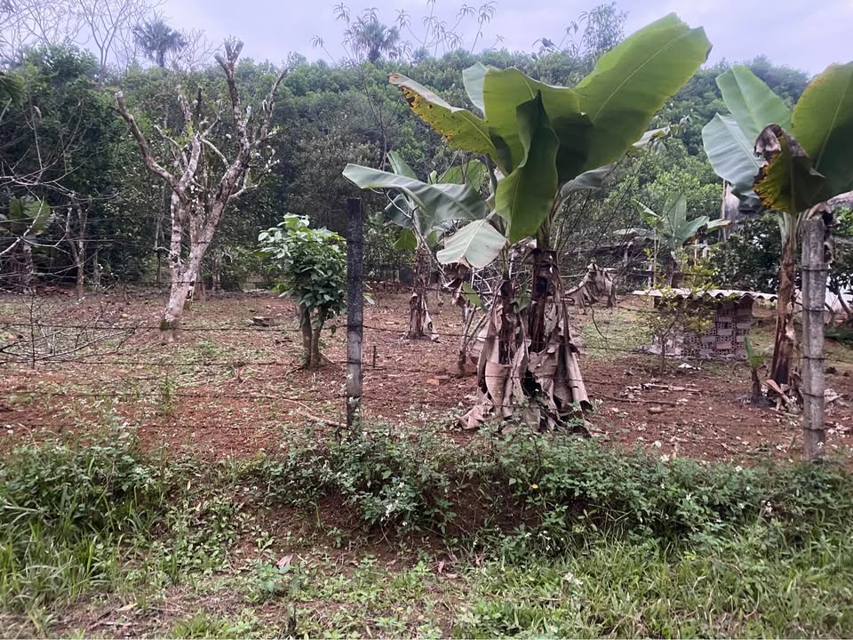 Đất nền Yên Bình 200m² giá 6xx triệu - Đầu tư sinh lời ngay!