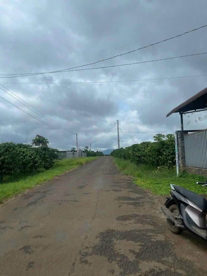 Đất thổ cư Hẻm 28 Trần Khánh Dư, Bảo Lộc 558m² giá 11.625 tỷ - Đầu tư sinh lời tốt!