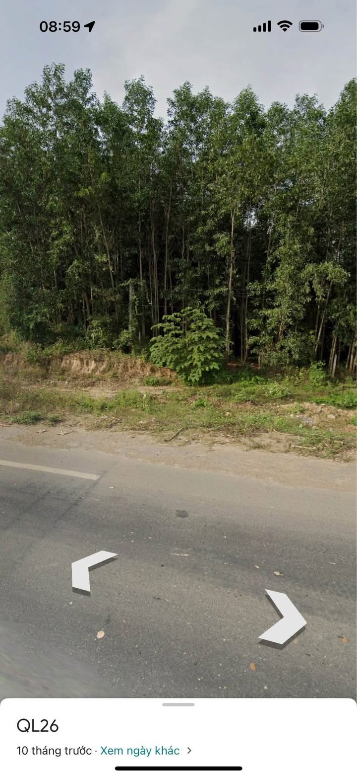 Đất nền Ninh Tây Ninh Hòa 8307m² giá 7.5 tỷ - Mặt tiền QL 26, cơ hội đầu tư hấp dẫn!