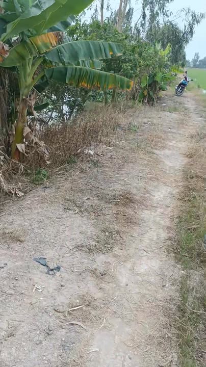 Đất nền Chợ Mới An Giang 25.200m² giá 875 triệu - Sổ hồng chính chủ, đầu tư sinh lời!