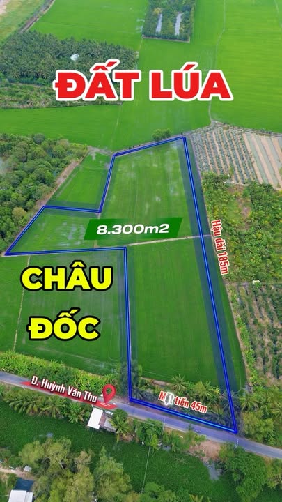 Đất nông nghiệp phường Châu Đốc, An Giang 8300m² - Tiềm năng phát triển vượt trội