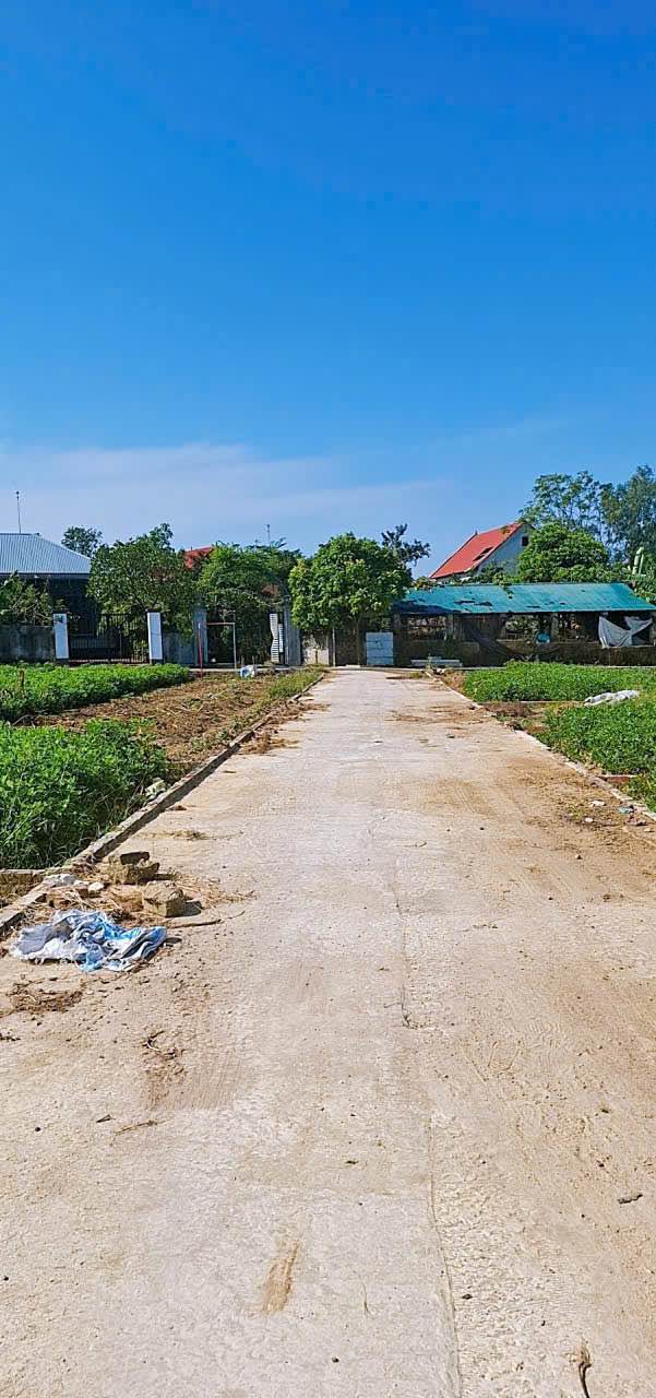 Lô đất giá rẻ tại Danh Thắng, Hiệp Hòa - Chỉ từ 500 triệu!