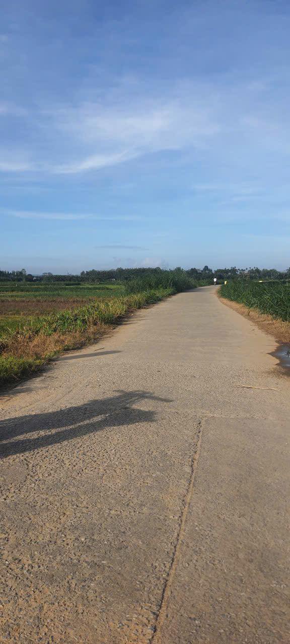 Đất nền Nghĩa Thuận Tư Nghĩa 1500m² giá chỉ 200 triệu - Cơ hội đầu tư tuyệt vời!