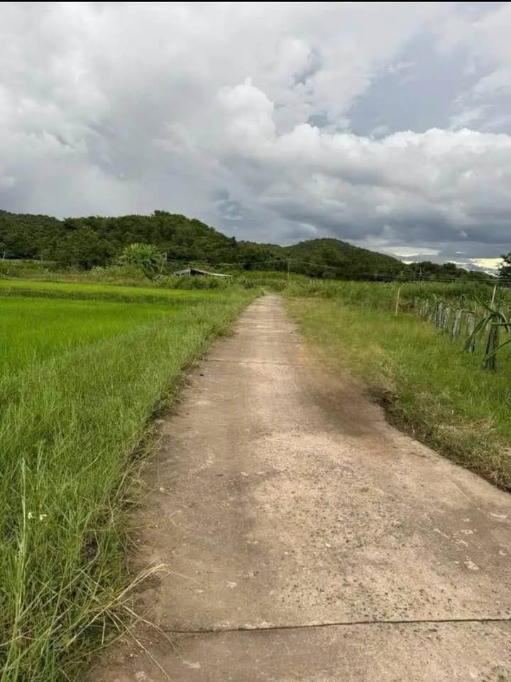 Đất 4 sào xã Thuận Hòa, Hàm Thuận Bắc - Giá chỉ 790 triệu - Mặt tiền đường bê tông