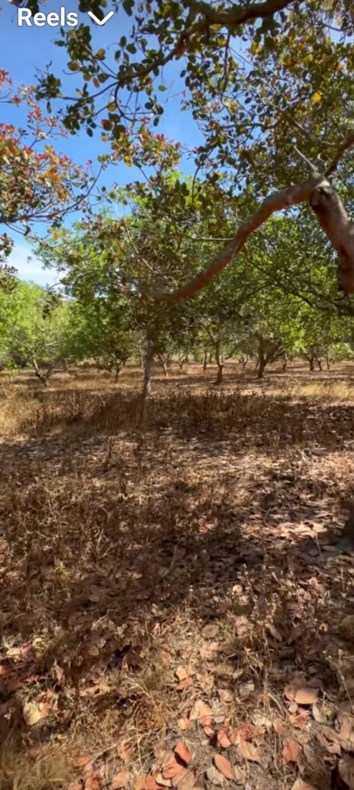 Đất nền Thiện Hưng Bù Đốp 13.828m² giá 1.8 tỷ - Đầu tư sinh lời ngay!