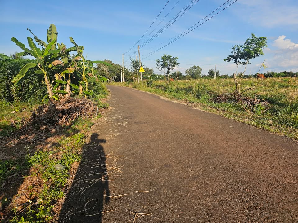 Đất nền ấp 2 Thanh Hòa Bù Đốp 4000m² giá 800 triệu - Đầu tư sinh lời ngay!