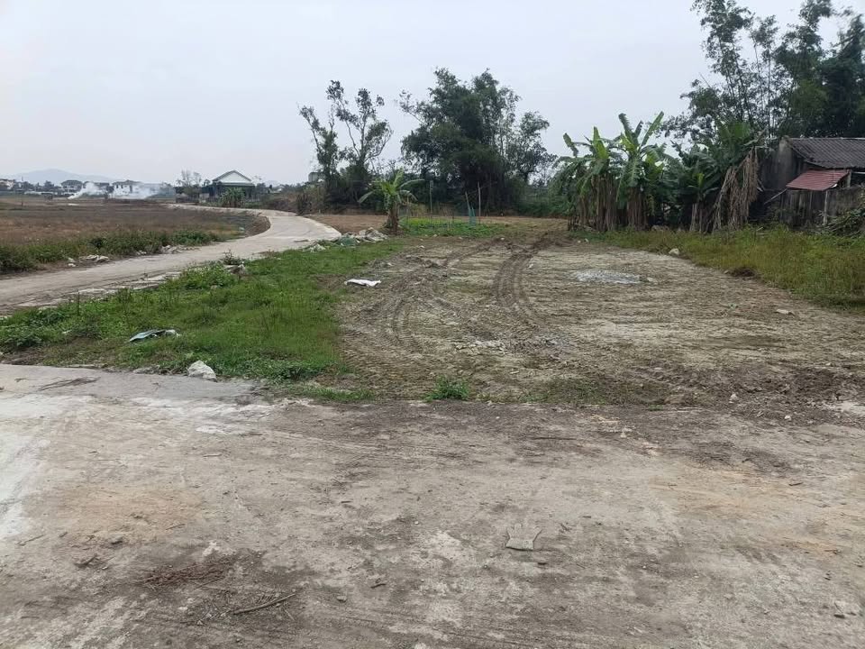 Đất nền Nghi Lộc 136m² giá 880 triệu - Vị trí thuận lợi gần Quốc Lộ 48E!