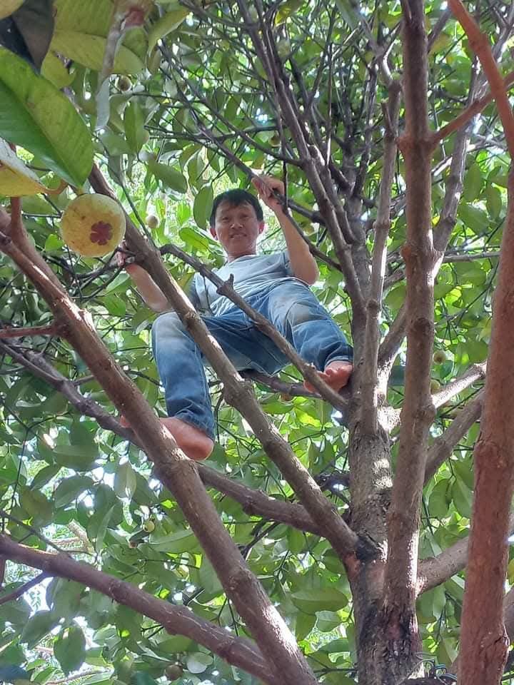 Nhà cấp 4 Bù Đăng 400m² giá 1.5 tỷ - Cơ hội đầu tư tuyệt vời!