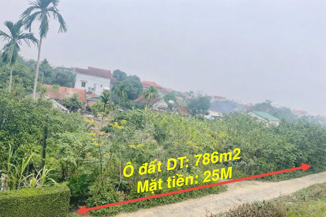 Đất nền 786m² tại Lâm Thao - Tiềm năng đầu tư lớn chỉ 3 tỷ!