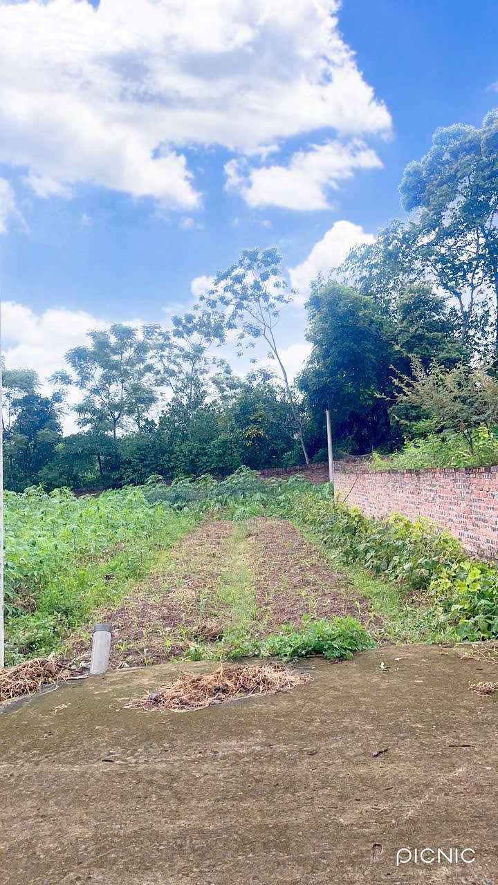 Đất nền Chu Hóa Việt Trì 85m² giá 800 triệu - Phù hợp đầu tư tài chính!