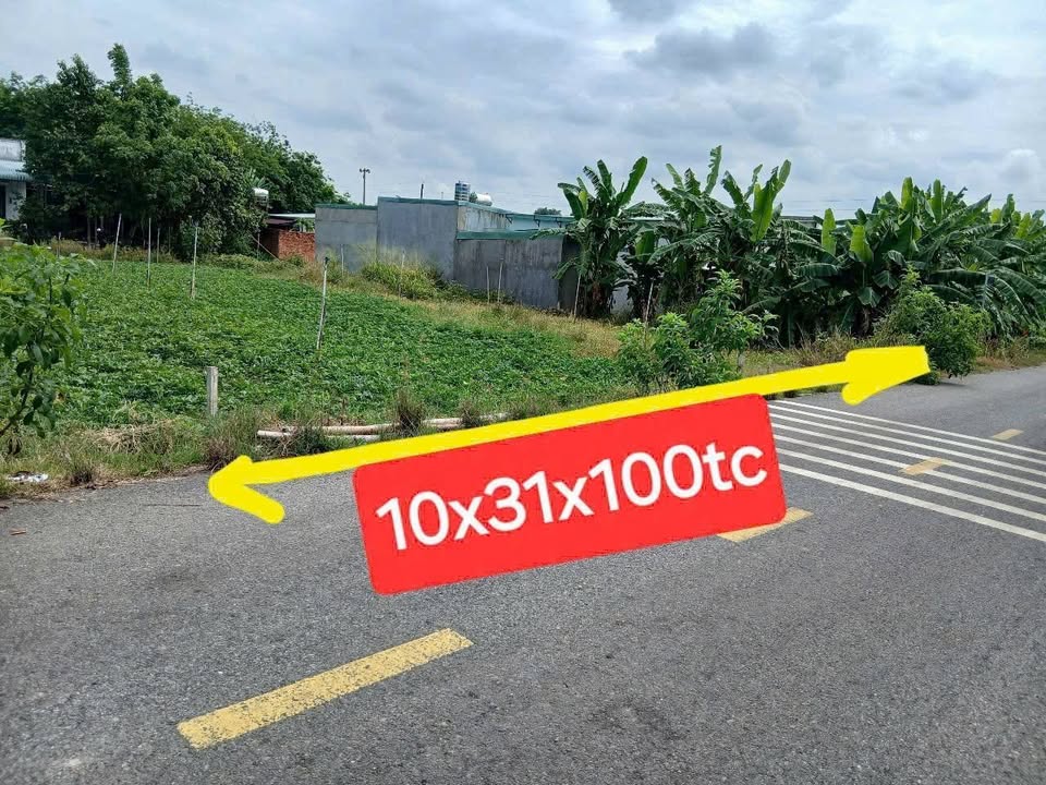 Đất thổ cư 310m² tại Bến Cát giá 1.3 tỷ - Đường nhựa thông thoáng, phù hợp đầu tư lâu dài!