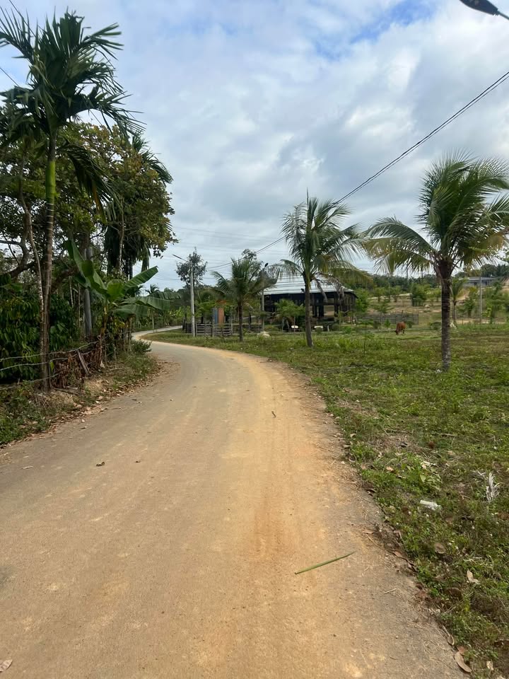 Đất thổ cư 240m² Trúc Sơn, Cư Jút - Sổ đỏ chính chủ, giá chỉ 440 triệu!