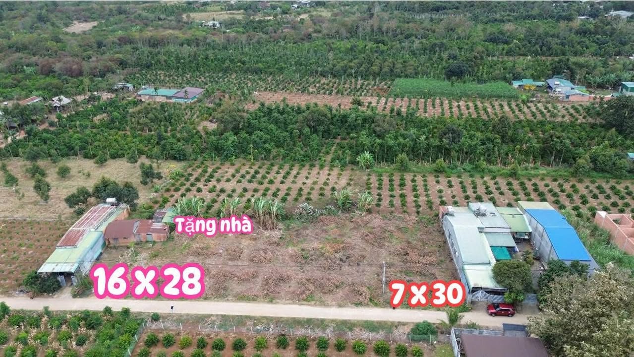 Đất thổ cư 2100m² xã Ea Pô, Đắk Nông giá chỉ 60 triệu - Cơ hội đầu tư tuyệt vời!