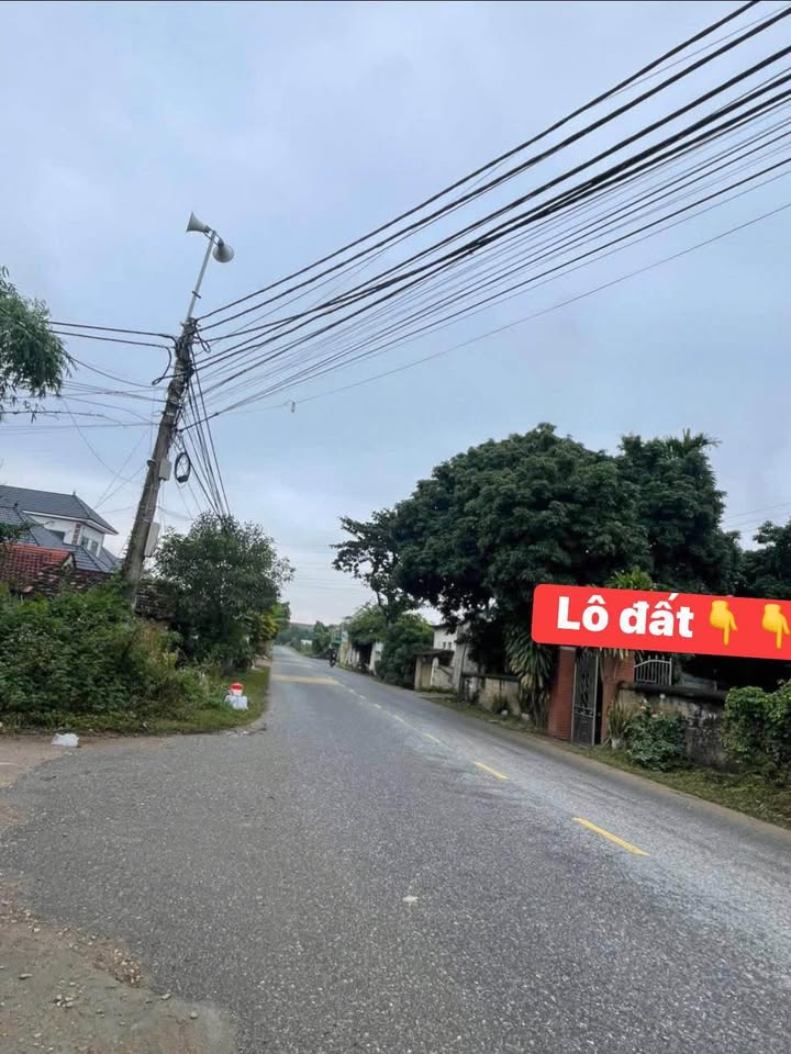 Đất nền Bàn Giản, Lập Thạch 100m² giá 1.6 tỷ - Đầu tư sinh lợi ngay!