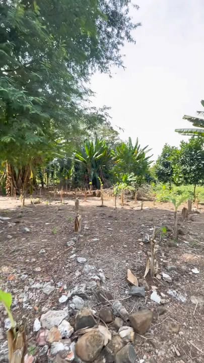 Đất nền Định Quán Đồng Nai 5,385m² giá chỉ 2.3 tỷ - Cơ hội đầu tư lý tưởng!