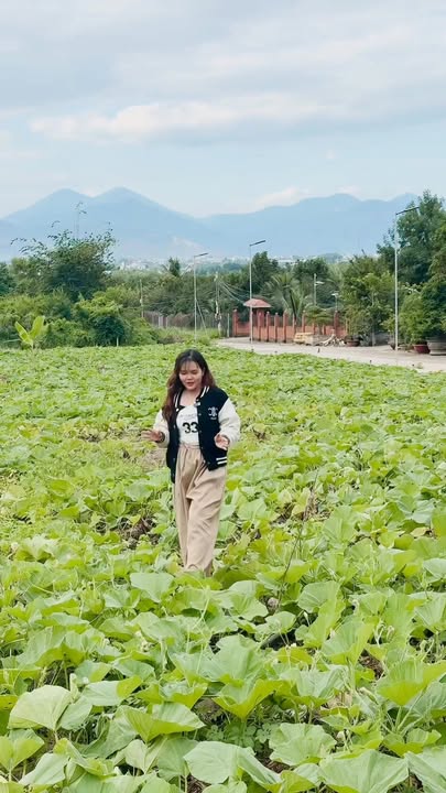 Đất thổ cư Diên An 71m² giá 810 triệu - Cơ hội đầu tư tuyệt vời!