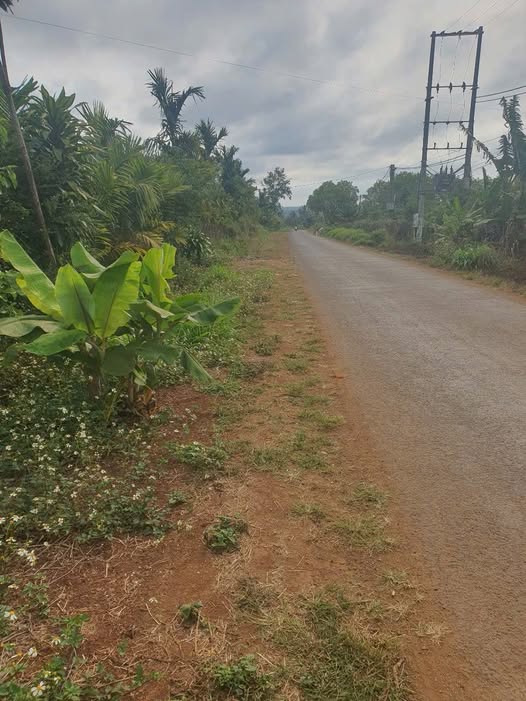 Đất nền mặt tiền đường Hồ Xuân Hương, Buôn Hồ 175m² giá 1.03 tỷ - Cơ hội đầu tư lý tưởng!