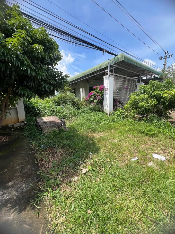 Đất nền Ea Kao Buôn Ma Thuột 300m² giá chỉ 3.12 tỷ - Đầu tư sinh lời ngay!