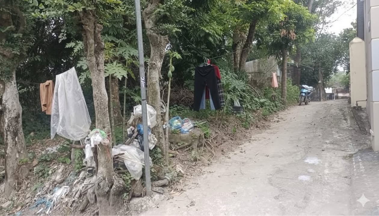 Đất nền lô góc Thôn Quan Châm, Minh Đức, 531.5m² giá chỉ 8.213 tỷ - Cơ hội đầu tư hấp dẫn!