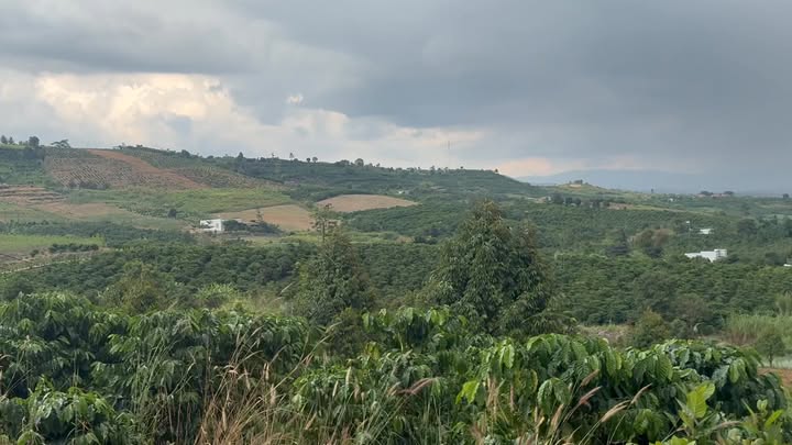 Đất Tân Hà Lâm Hà 9000m² giá 3.6 tỷ - Sổ hồng chính chủ, thương lượng nhẹ!