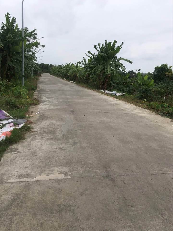 Đất thổ cư Hòa Long Bắc Ninh 292m² giá 6 tỷ - Đầu tư sinh lời ngay!