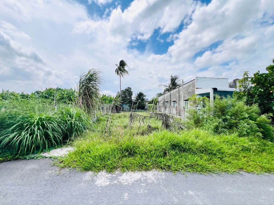 Đất Xã Phước Vĩnh An Củ Chi 206m² giá 3.2 tỷ - Mặt tiền đường nhựa thông thoáng!